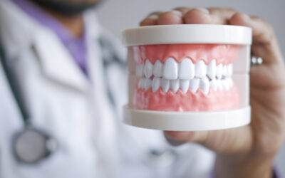 Dentes incisivos: porque é que são tão importantes?